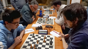 GOLPE DE EFECTO EN OLOT
